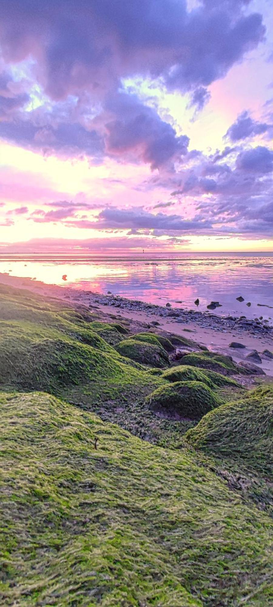 Nordseezimmer Koi Otterndorf Buitenkant foto